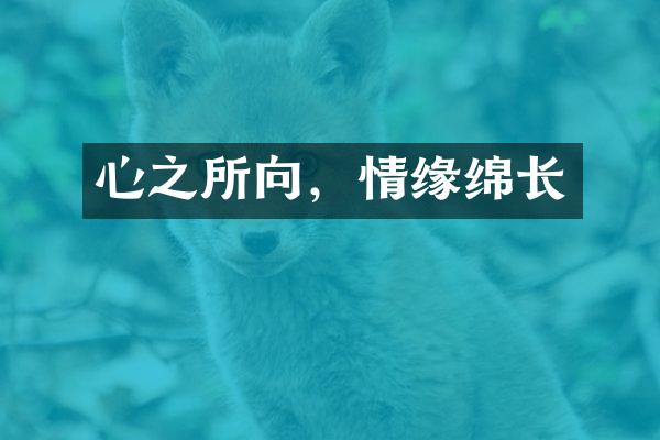 心之所向，情缘绵长