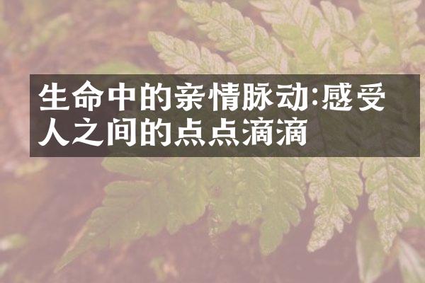 生命中的亲情脉动:感受亲人之间的点点滴滴
