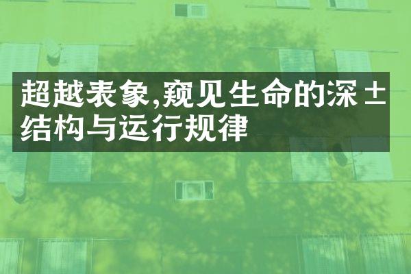 超越表象,窥见生命的深层结构与运行规律