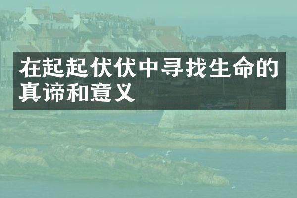 在起起伏伏中寻找生命的真谛和意义