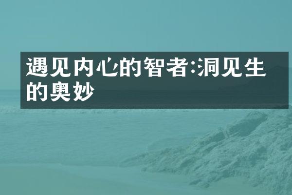 遇见内心的智者:洞见生命的奥妙