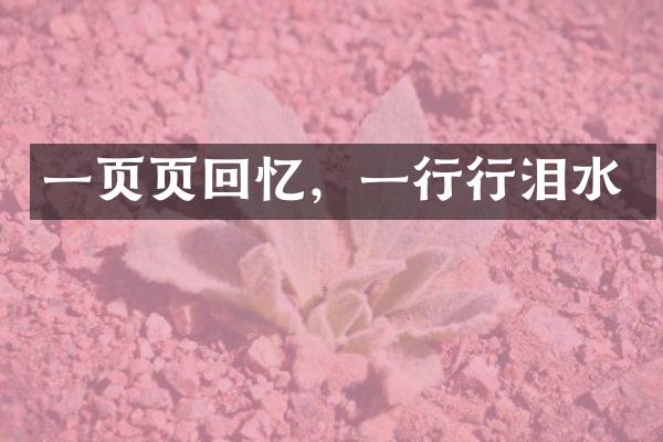 一页页回忆，一行行泪水