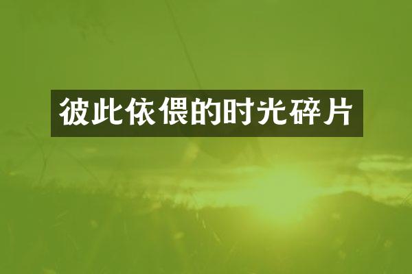 彼此依偎的时光碎片