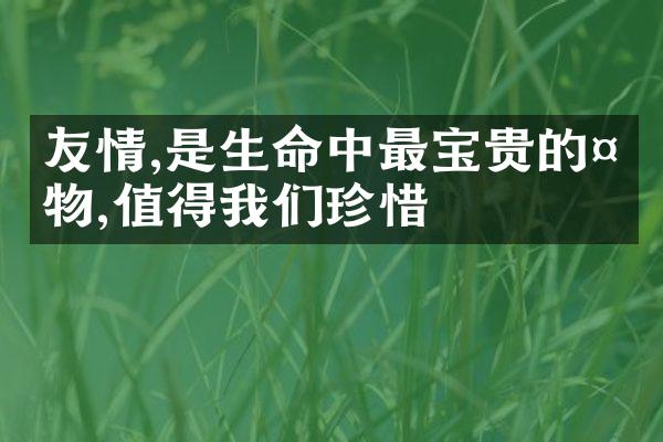 友情,是生命中最宝贵的礼物,值得我们珍惜