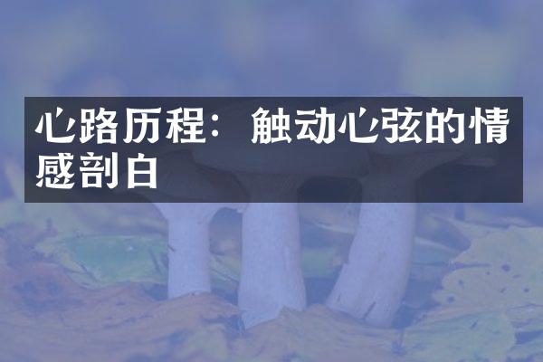 心路：触动心弦的情感剖白