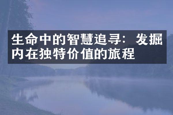 生命中的智慧追寻：发掘内在独特价值的旅程