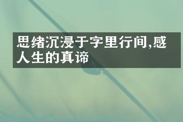 思绪沉浸于字里行间,感悟人生的真谛