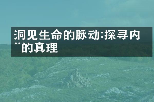 洞见生命的脉动:探寻内在的真理