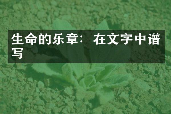 生命的乐章：在文字中谱写