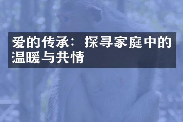 爱的传承：探寻家庭中的温暖与共情