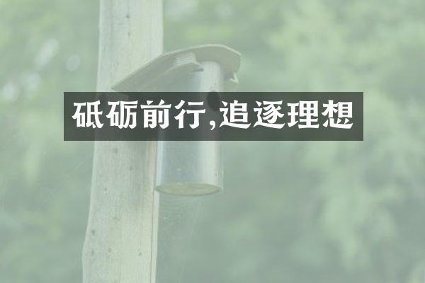 砥砺前行,追逐理想