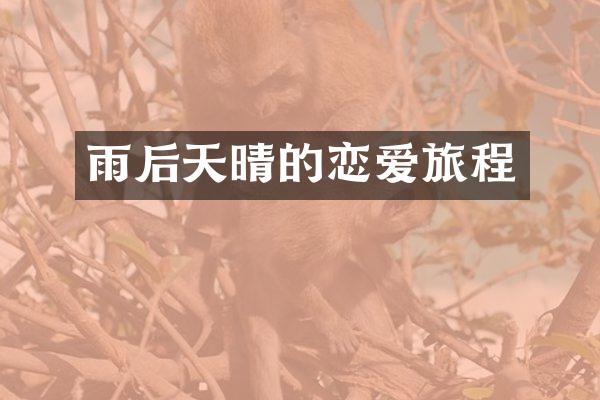 雨后天晴的恋爱旅程