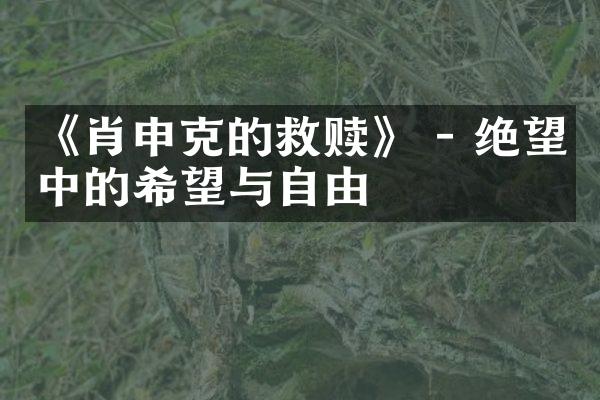 《肖申克的救赎》 - 绝望中的希望与自由