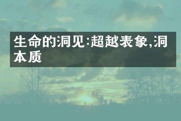 生命的洞见:超越表象,洞悉本质