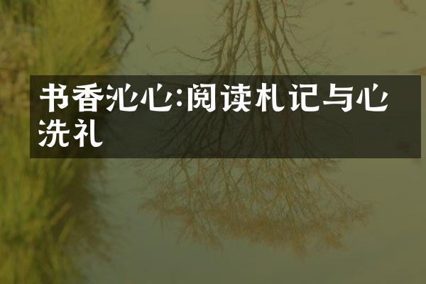 书香沁心:阅读札记与心灵洗礼