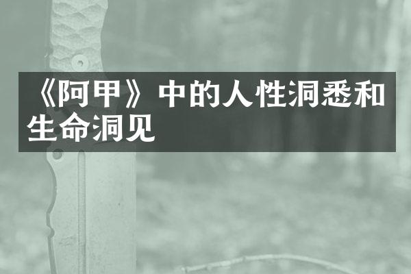 《阿甲》中的人性洞悉和生命洞见