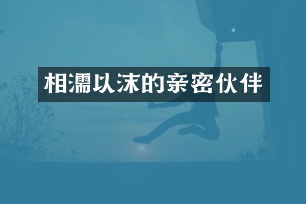 相濡以沫的亲密伙伴