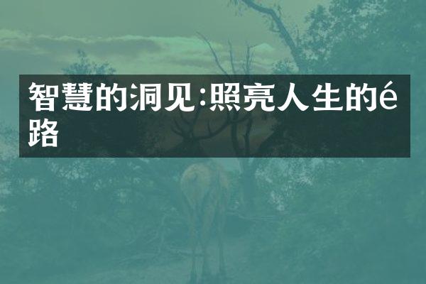 智慧的洞见:照亮人生的道路
