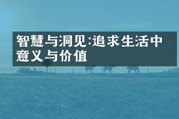 智慧与洞见:追求生活中的意义与价值