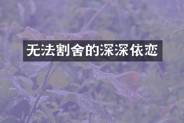 无法割舍的深深依恋