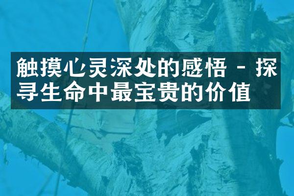 触摸心灵深处的感悟 - 探寻生命中最宝贵的价值