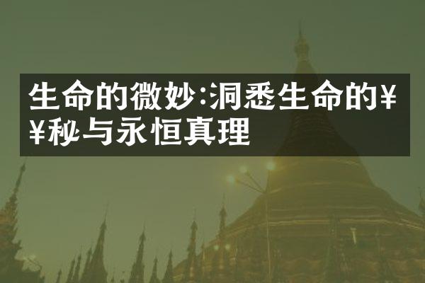 生命的微妙:洞悉生命的奥秘与永恒真理