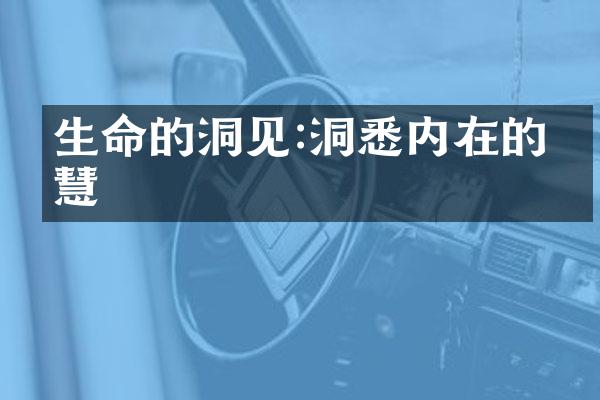 生命的洞见:洞悉内在的智慧