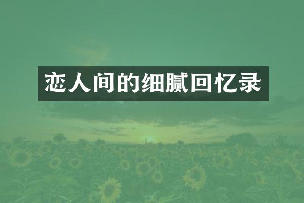 恋人间的细腻回忆录