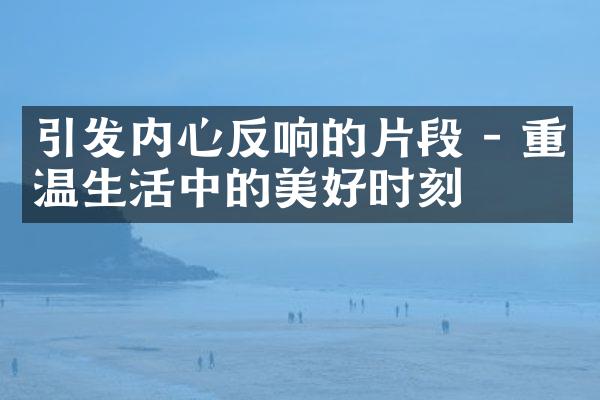 引发内心反响的片段 - 重温生活中的美好时刻