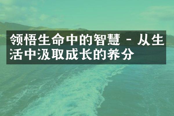 领悟生命中的智慧 - 从生活中汲取成长的养分