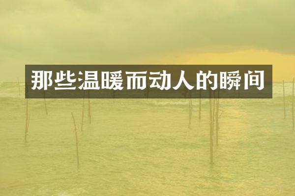 那些温暖而动人的瞬间