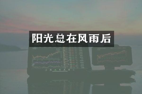 阳光总在风雨后