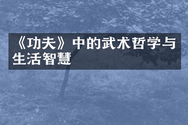 《功夫》中的武术哲学与生活智慧
