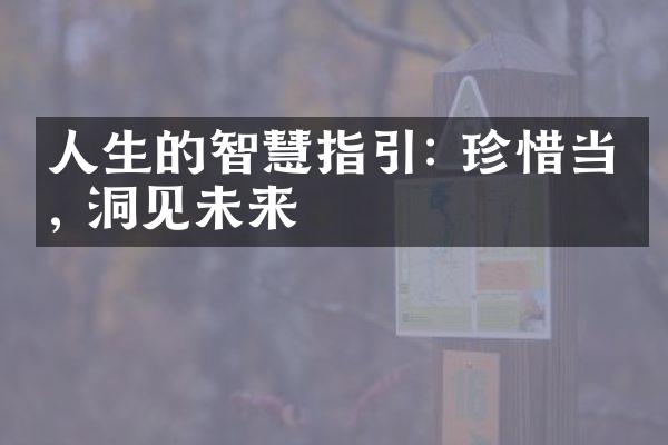 人生的智慧指引: 珍惜当下, 洞见未来