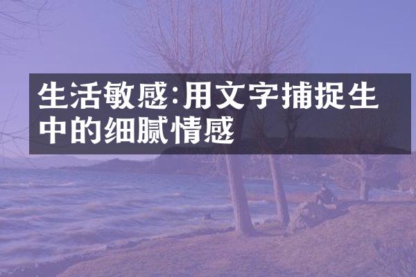 生活敏感:用文字捕捉生活中的细腻情感