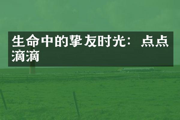 生命中的挚友时光：点点滴滴