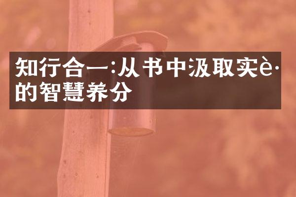 知行合一:从书中汲取实践的智慧养分