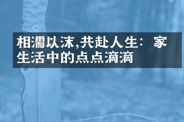 相濡以沫,共赴人生：家庭生活中的点点滴滴