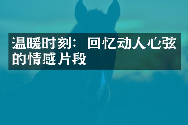 温暖时刻：回忆动人心弦的情感片段