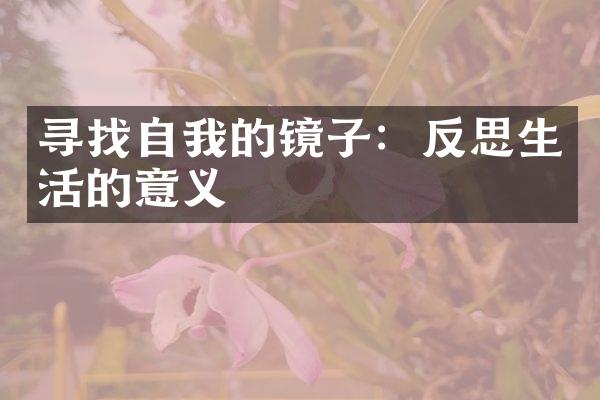 寻找自我的镜子：反思生活的意义