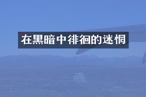 在黑暗中徘徊的迷惘