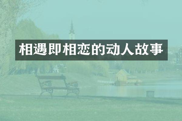 相遇即相恋的动人故事