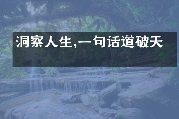 洞察人生,一句话道破天机