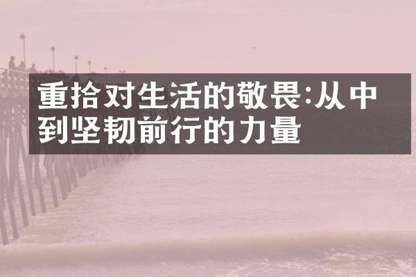 重拾对生活的敬畏:从中找到坚韧前行的力量