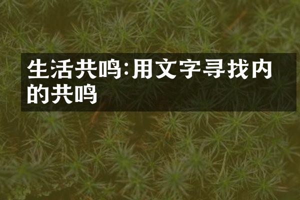 生活共鸣:用文字寻找内心的共鸣