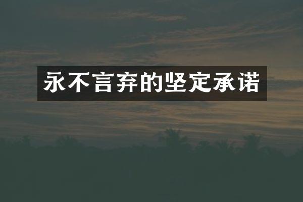 永不言弃的坚定承诺