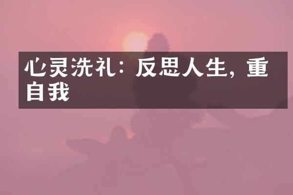心灵洗礼: 反思人生, 重塑自我