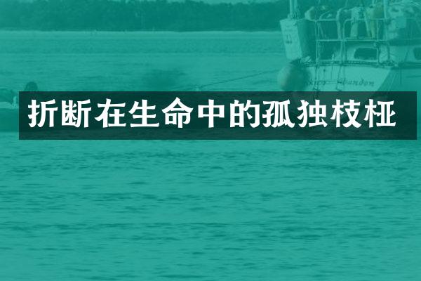 折断在生命中的孤独枝桠