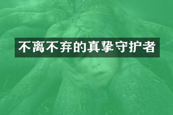 不离不弃的真挚守护者