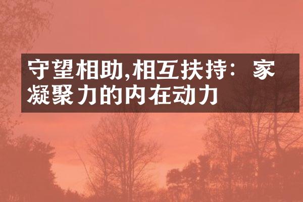 守望相助,相互扶持：家庭凝聚力的内在动力